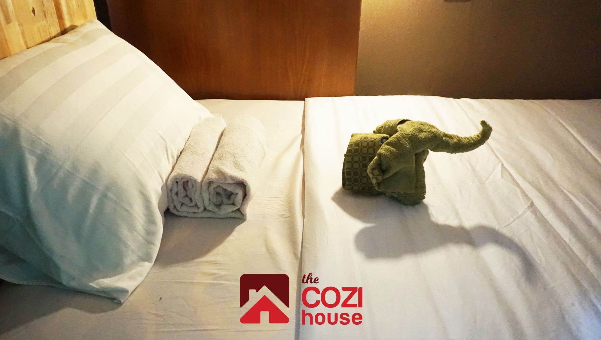 Oyo 708 The Cozi House - Homestay Thành Pho Ho Chí Minh Esterno foto